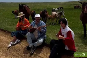 ویدئو | تاثیر عجیب موسیقی در گله اسب‌های وحشی جنگل ابر