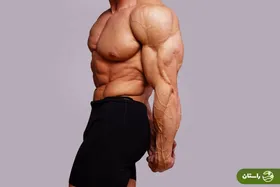 قوی‌ترین ماهیچه بدن انسان کدام است؟
