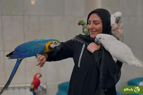 تصاویر  | المیرا شریفی مقدم در میان طوطی‌های سخنگو!