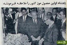 عکس | مردی با دندان‌های آلومینیومی و مشاهده اولین موز کشور توسط شاه!