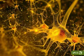 مغز چگونه شروع به «خوردن خودش» می‌کند؟