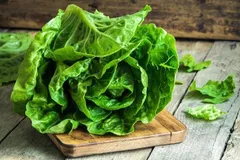 ۹ خاصیت شگفت‌انگیز کاهو