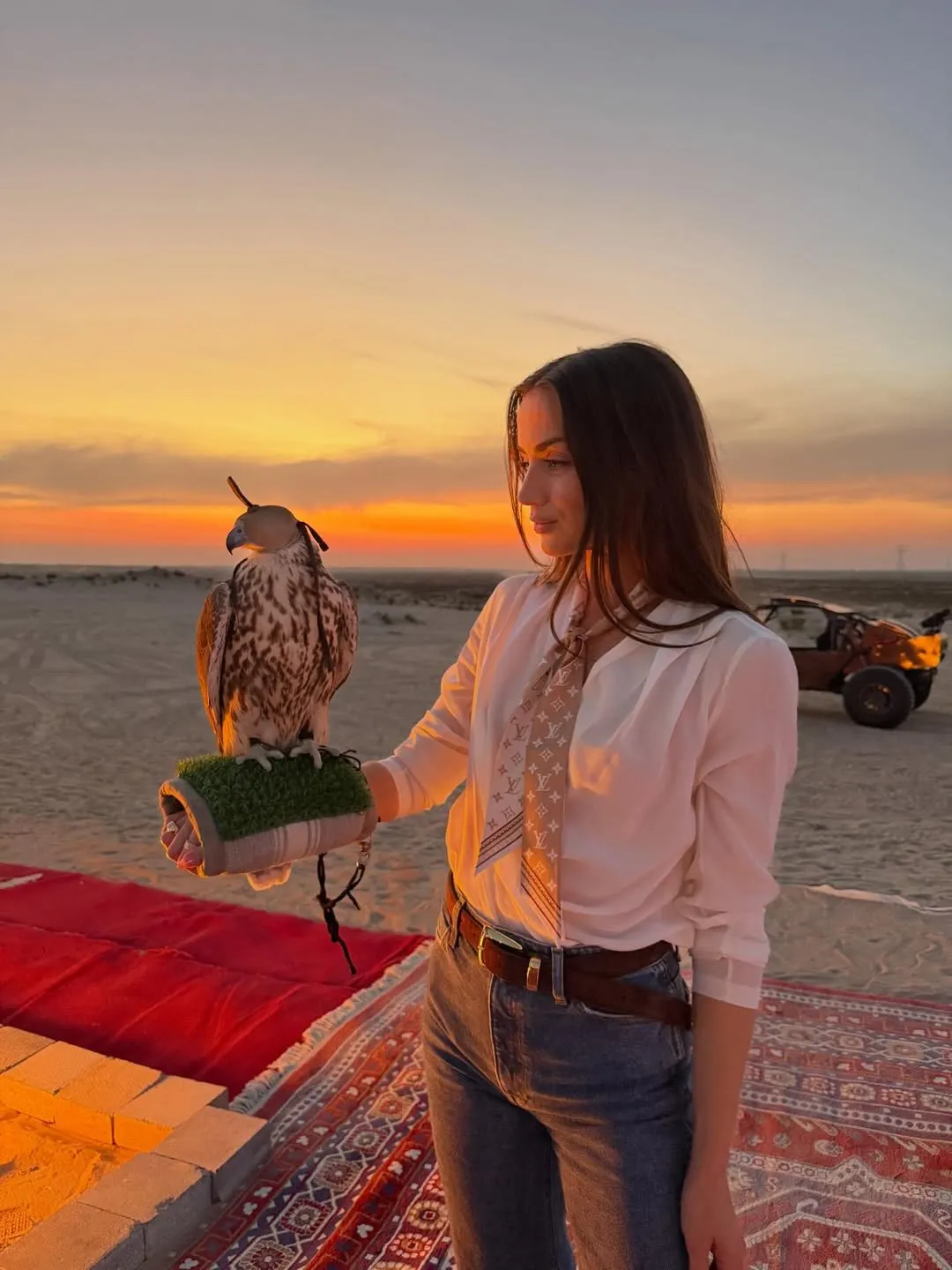 سفر آنا د آرامس به ابوظبی