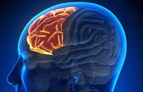  چرا به دیگران کمک می‌کنیم؟ انگیزه کمک کردن از کجا می‌آید؟