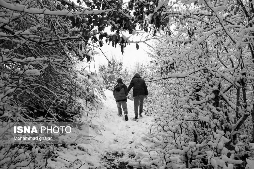 بارش برف در گلستان