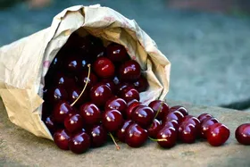 یاقوت تابستان کدام میوه است؟ خواص آلبالو را دریابید