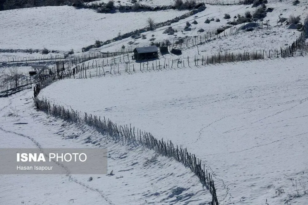 سوادکوه در برف