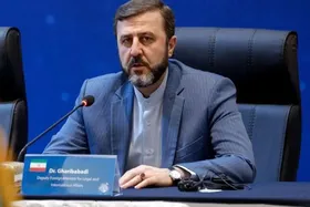 معاون وزیر خارجه: مذاکرات آتی با حضور قالیباف، عراقچی، ونس و نخست وزیران پاکستان و قطر انجام خواهد شد