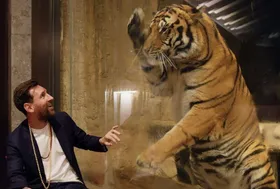 عکس| مسی با خال هندو در حال سروکله زدن با ببرها