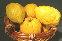 خواص بالنگ برای سلامت بدن، شما را شگفت‌زده می‌کند!