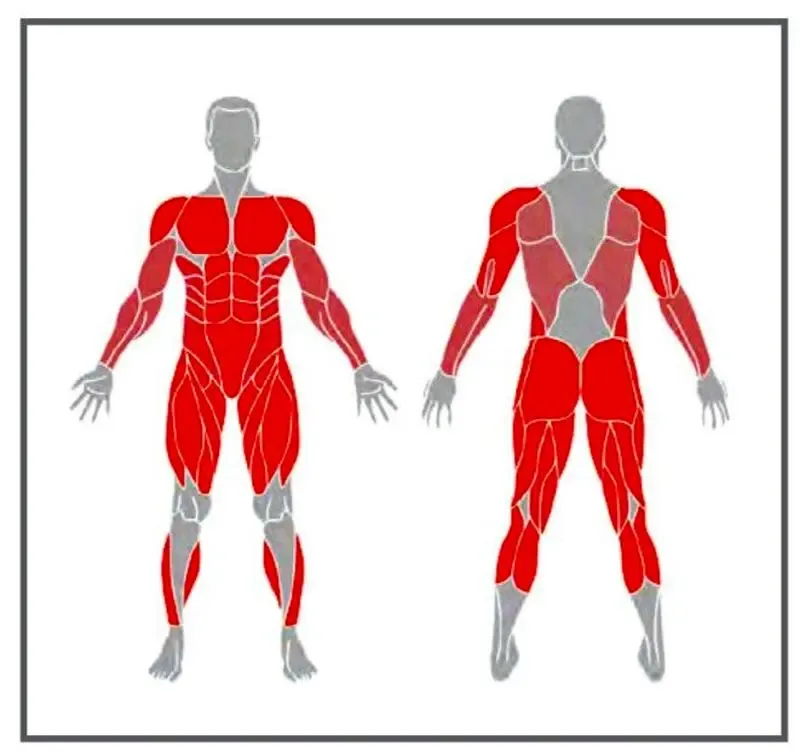 ورزش در خانه؛ برنامه تمرینی ویژه برای «تناسب اندام» ورزش در خانه؛ برنامه تمرینی ویژه برای «تناسب اندام»