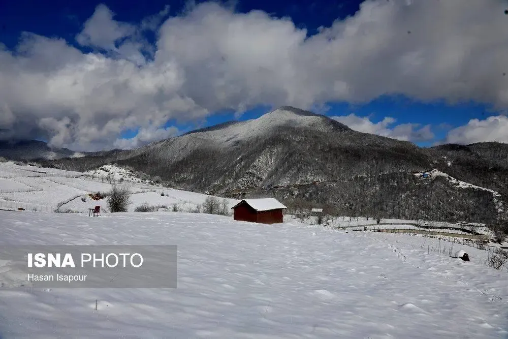 سوادکوه در برف