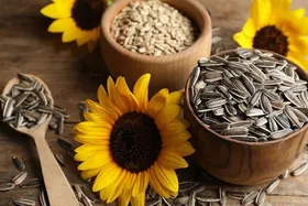 خواص بی‌نظیر تخمه آفتابگردان