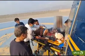 نجات معجزه‌آسای چوپان در حمله خرس سیاه